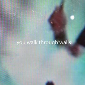 You Walk Through Walls - You Walk Through Walls [Vinyl, LP]