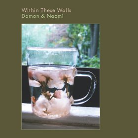 Damon & Naomi - Within These Walls [CD]
