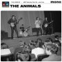 Animals - BBC Saturday Club '65...And More
