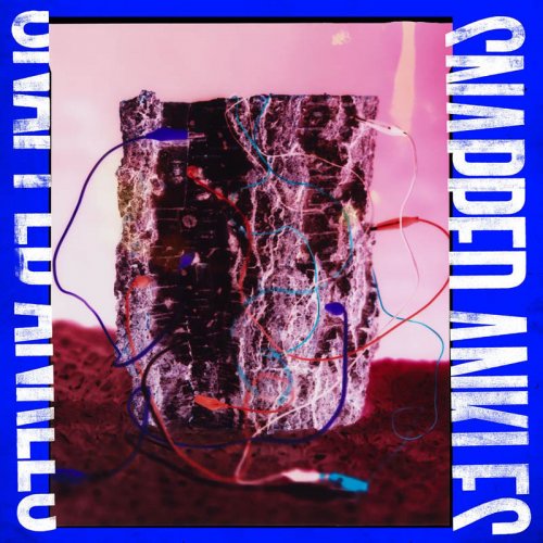 Snapped Ankles - Forest Of Your Problems [CD], Konkurrent