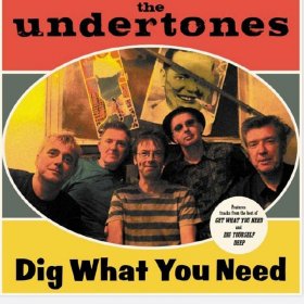 Undertones - Dig What You Need [CD]