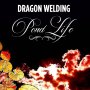 Dragon Welding - Pond Life