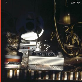 Lary 7 - Larynx [Vinyl, 2LP]