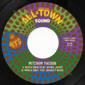 Mitchum Yacoub - Never Knew [Vinyl, 7"]