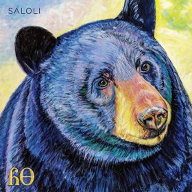 Saloli - Canyon [Vinyl, LP]
