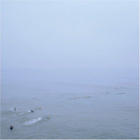 Growing - The Sky's Run Into The Sea [CD]