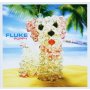 Fluke - Puppy