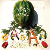 Adam Payne - Organ [Vinyl, LP]