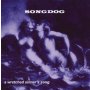 Songdog - A Wretched Sinner's Song