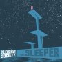 Leisure Society - The Sleeper