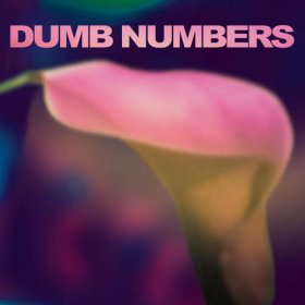 Dumb Numbers - Dumb Numbers [Vinyl, LP]
