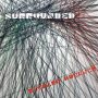 Richard Buckner - Surrounded