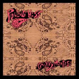 Purling Hiss - Paisley Montage [Vinyl, LP]