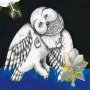 Songs: Ohia - The Magnolia Electric Co (Deluxe)