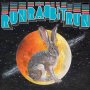 Sufjan Stevens / Osso - Run Rabbit Run