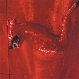William Basinski - A Red Score In Tile [CD]