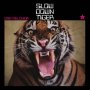 Dan Melchior - Slow Down Tiger