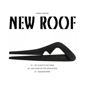 Karen Gwyer - New Roof [Vinyl, 12"]