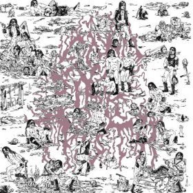 Soft Pink Truth - Why Do The Heathen Rage? [CD]