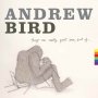 Andrew Bird - Things Are Really Great Here