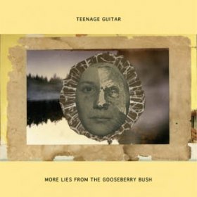 Teenage Guitar - More Lies From Gooseberry [Vinyl, LP]