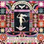 Decemberists - What A Terrible World What A Beautiful World