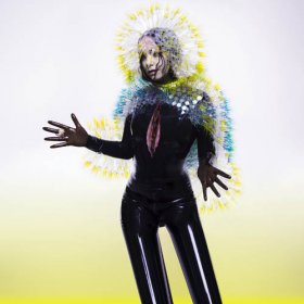 Björk - Vulnicura [CD]