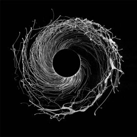 Dawn Of Midi - Dysnomia [Vinyl, LP]