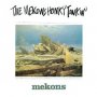 Mekons - Honky Tonkin'