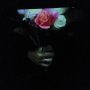 Paper Dollhouse - Aeonflower