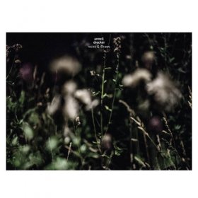 Anneli Drecker - Rocks & Straws [CD]