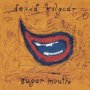 David Kilgour - Sugar Mouth