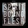Scott Kelly - Spirit Bound Flesh