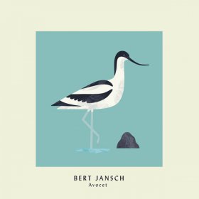Bert Jansch - Avocet (Library Edition) [Vinyl, LP]