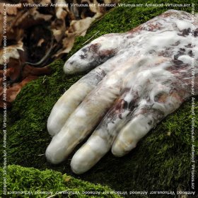 Antwood - Virtuous Scr [CD]