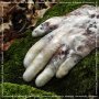 Antwood - Virtuous Scr