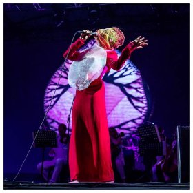 Björk - Vulnicura Live [CD]