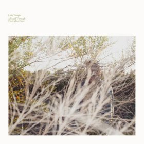 Luke Temple - A Hand Through The Cellar Door [Vinyl, LP]