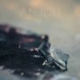 Anjou - Epithymia