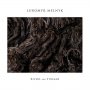 Lubomyr Melnyk - Rivers And Streams