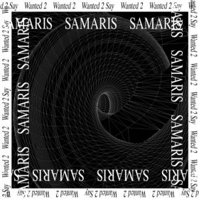 Samaris - Wanted 2 Say [Vinyl, 12"]