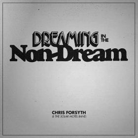 Chris Forsyth & The Solar Motel Band - Dreaming In The Non-Dream [Vinyl, LP]