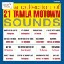 Various - Tamla Motown: Live In Europe 1965