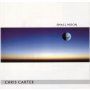 Chris Carter - Small Moon