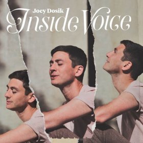 Joey Dosik - Inside Voice (Stone White) [Vinyl, LP]