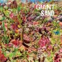 Giant Sand - Returns To The Valley Of Rain