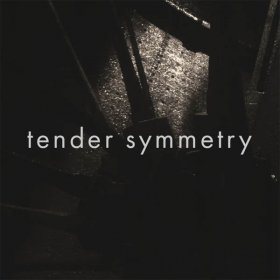 Michael Price - Tender Symmetry (Clear) [Vinyl, LP]