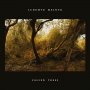 Lubomyr Melnyk - Fallen Trees