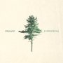 Orango - Evergreens