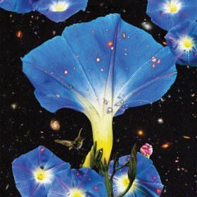 Sarah Louise - Nighttime Birds And Morning Stars [CD]